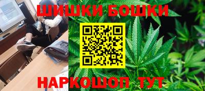 шишки Изобильный