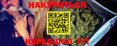 шишки Изобильный