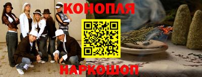 шишки Изобильный