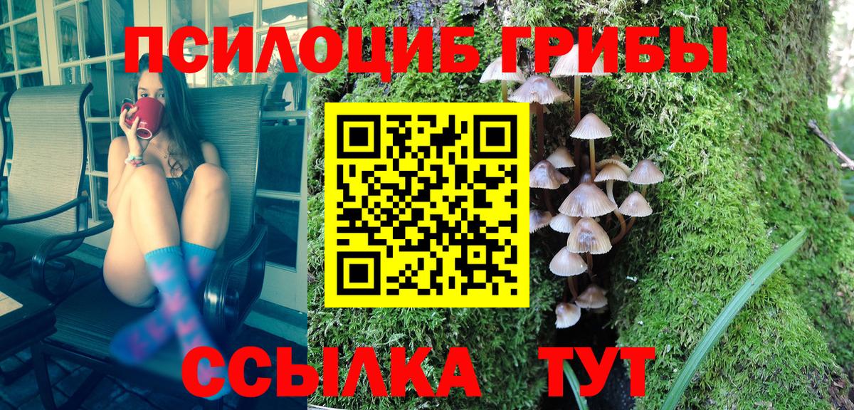 Ликино-Дулёво  Галлюциногенные грибы MAGIC MUSHROOMS  даркнет сайт  Вход с VPN 