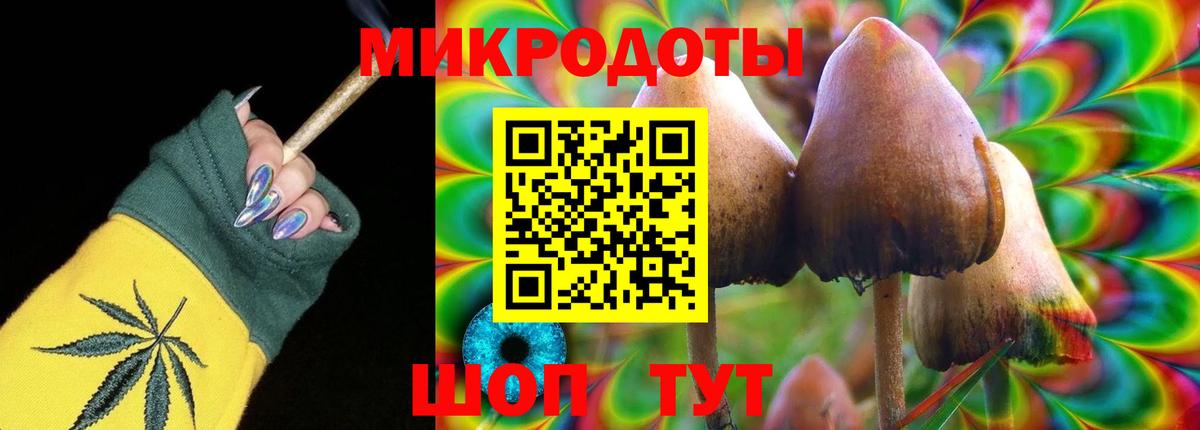 Псилоцибиновые грибы мицелий Ликино-Дулёво